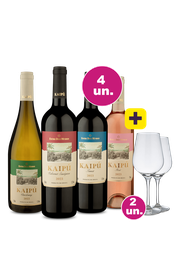 Kit 4 - Lan&ccedil;amento Kaip&uacute; Degusta&ccedil;&atilde;o + 2 Ta&ccedil;as Cristal Gr&aacute;tis