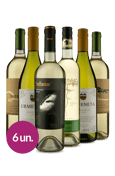 Winebox Vinhos Brancos da América do Sul