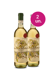 Kit 2 - Carpineto Dogajolo I.G.T. Toscano Bianco 2024 - Exclusivo We