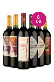 Kit 6 - Chilenos - R$25,90 por Garrafa