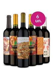 Kit 6 - Tintos Meio Secos - Exclusivo We