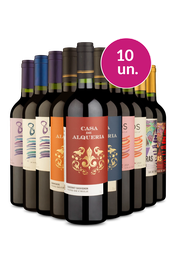 Kit 10 - Tintos no Precinho - R$23,90 por Garrafa - Oferta Absurda
