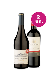 Kit 2 - Bons-Ventos Superior e Pérez Cruz Winemakers - Oferta Absurda Black Wine