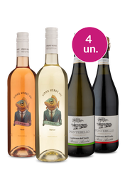 Kit 4 - Combina&ccedil;&atilde;o para chamar o Ver&atilde;o! - Oferta Absurda