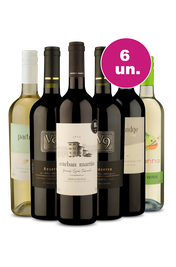 Kit 6 - A Melhor Oferta do Mês - Spoiler Black Wine