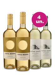 Kit 4 - Encontro de Campe&otilde;es: Cava Negra Torront&eacute;s e Esteban Mart&iacute;n Blanco
