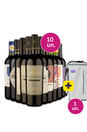 Kit 10 - Tintos Secos + Bolsa p/ 3 garrafas Gr&aacute;tis - Exclusivo We
