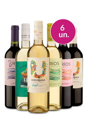 Kit 6 - Vinhos Suaves - Exclusivo We