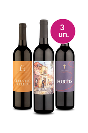 Kit 3 - Portugueses por R$77 - Oferta Absurda