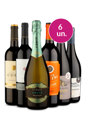 Kit 6 - Espumante para iniciar e Tintos para finalizar - Exclusivo We
