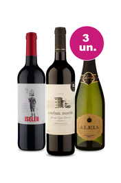 Kit 3 - Espanhois Consagrados por R$99 - Spoiler Black Wine