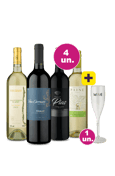 Kit 4 por 100 - Red And White + Taça Grátis - Oferta Insana