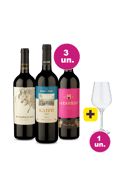 Kit 3 - Tintos Exclusivos por R$99 + Taça Grátis
