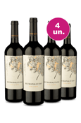 Kit 4 - Lançamento Exclusivo Metropolitano Red Blend