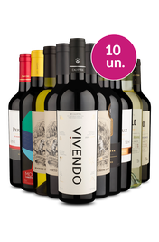 Kit 10 - Sulamericanos Renomados pelo Melhor Valor - Oferta Absurda