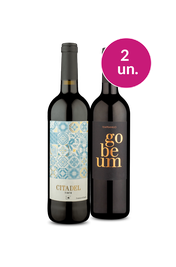 Kit 2 - Tempranillo Espanhol - Oferta Absurda