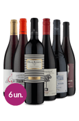 Kit Tintos Passaporte Wine (6 garrafas)