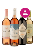 Kit 4 - Sabores da América do Sul por R$24,90 por Garrafa - Oferta Absurda