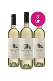 Kit 3 - Esteban Mart&iacute;n Blanco por R$99 - Oferta Flash 