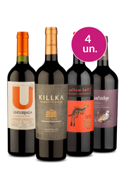 Kit 4 - Cabernet Sauvignon: Rainha das Uvas Tintas, Encorpados e Alta Acidez - Exclusivo We