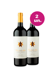 Kit 2 - Clos de Los Siete - Black Wine