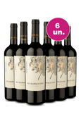 Kit 6 - Vinhos Incríveis por R$199