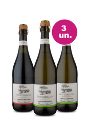 Kit 3 - Frisantes Italianos por R$99 - Spoiler Black Wine