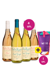 Kit 4 - Lan&ccedil;amentos Cantina Zaccagnini Tralcetto I.G.T. Terre Di Chieti Rosato 2023 + Bolsa t&eacute;rmica 1 garrafa Gr&aacute;tis - Exclusivo We