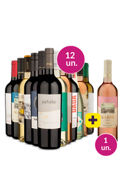 Kit 13 - Todos os Tipos + Kaipu Gr&aacute;tis