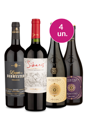 Kit 4 - Vinhos para Paladares Apurados - Exclusivo We
