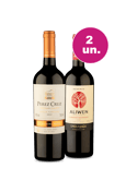 Kit 2 - Chilenos de Renome - R$59,90 por Garrafa