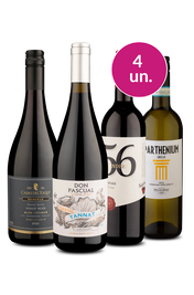 Kit 4 - Desbravando Uvas - Oferta Absurda