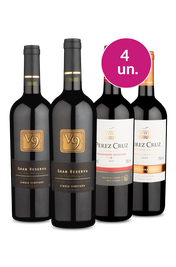 Kit 4 - Campe&otilde;es da Am&eacute;rica do Sul - Oferta Absurda