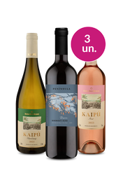 Kit 3 - Vinhos Mesclados por R$ 99 - Exclusivo We
