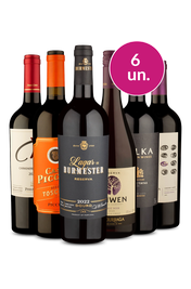 Kit 6 - Elegantes no Precinho - Exclusivo We