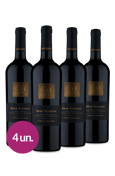 Kit V9 Gran Reserva Single Vineyard D.O. Valle Del Maipo Carménère 2018