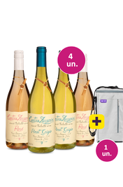 Kit 4 - Lan&ccedil;amentos Cantina Zaccagnini Tralcetto I.G.T. Terre Di Chieti Rosato 2023+ Bolsa para 3 garrafas Gr&aacute;tis - Exclusivo We