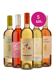Kit 5 - Vers&aacute;teis por R$100 - Exclusivo