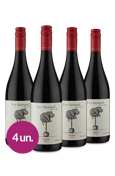 Kit Fat Bastard I.G.P. Pays Doc Syrah 2019 (4 garrafas)