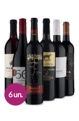 Kit Tintos Intercontinentais Wine (6 garrafas)