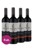 Kit Miguel Torres Hemisferio Sur Reserva Carménère 2019 (4 garrafas)