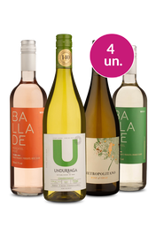 Kit 4 - Espetaculares por R$129 - Oferta Absurda