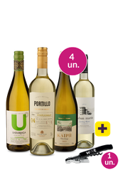 Kit 4 - Chardonnays de Respeito + Saca Rolha dois est&aacute;gios Wine Gr&aacute;tis - Exclusivo We