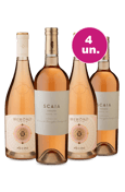 Kit 4 - Scaia Rosé e Piccini - Exclusivo WE