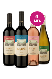 Kit 4 - Degustação Kaipu - Exclusivo We