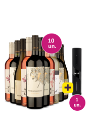 Kit 10 - Vinhos Mistos + Abridor El&eacute;trico Gr&aacute;tis - Exclusivo We