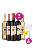 Kit 5 - Viagem para a África do Sul + Taça Grátis