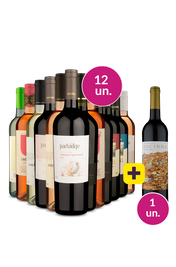 Kit 13 - Super Campe&otilde;es + Rocinha Gr&aacute;tis