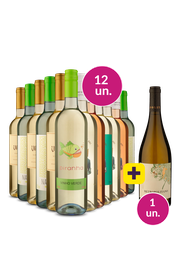 Kit 13 - S&oacute; Vinho Verde + Metropolitano Gr&aacute;tis