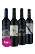 Kit Tintos Europeus & Sul-Americanos (4 garrafas)